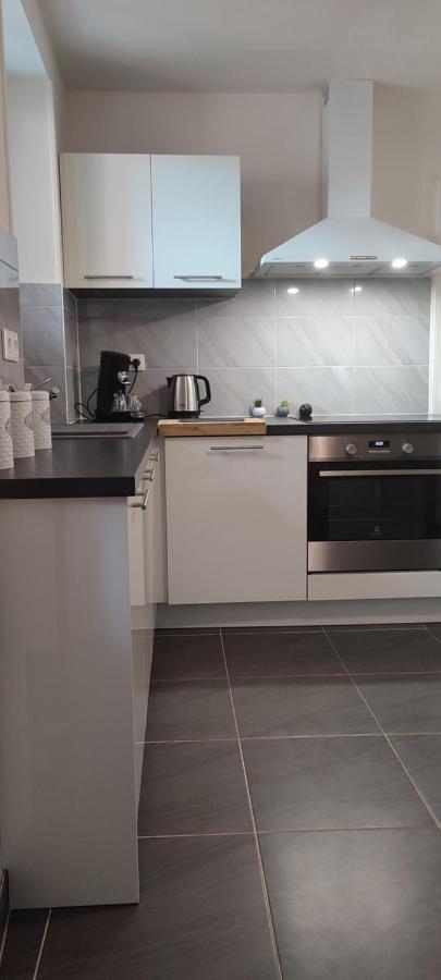 Logement Cosy Et Spacieux, A 2 Pas Du Centre-Ville Colmar Eksteriør bilde
