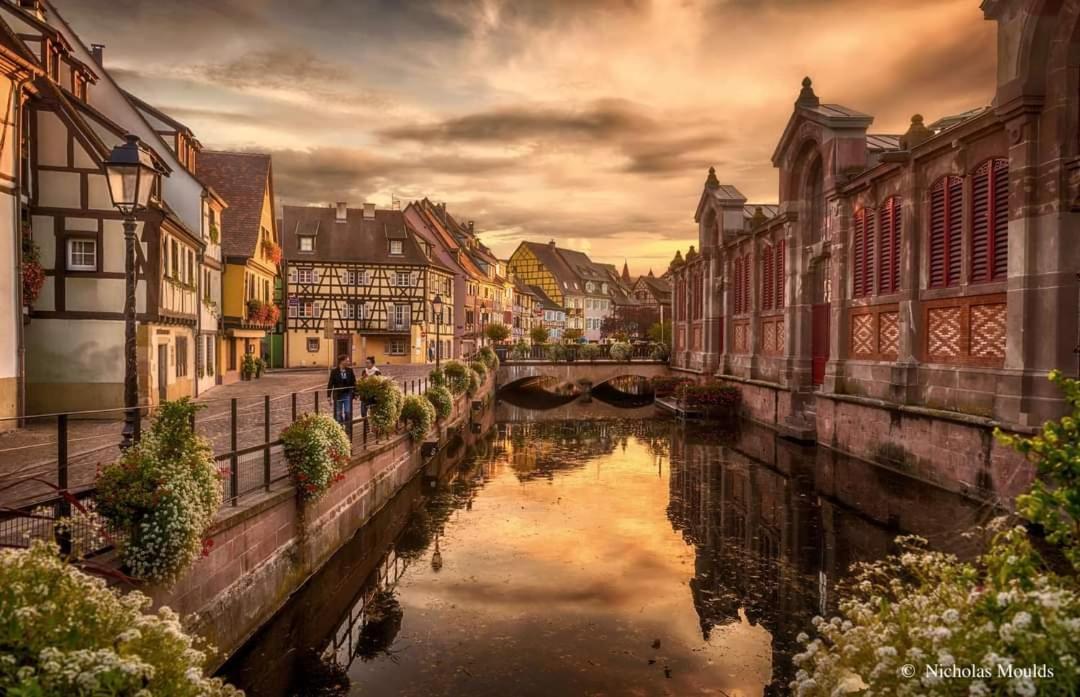 Logement Cosy Et Spacieux, A 2 Pas Du Centre-Ville Colmar Eksteriør bilde